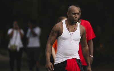 “Another Day in the Vineyard, Pt. 2”