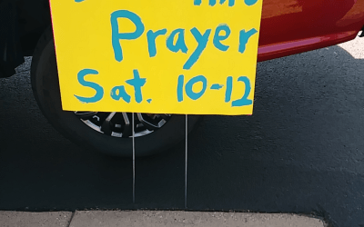 “Soggy Day Encounters”