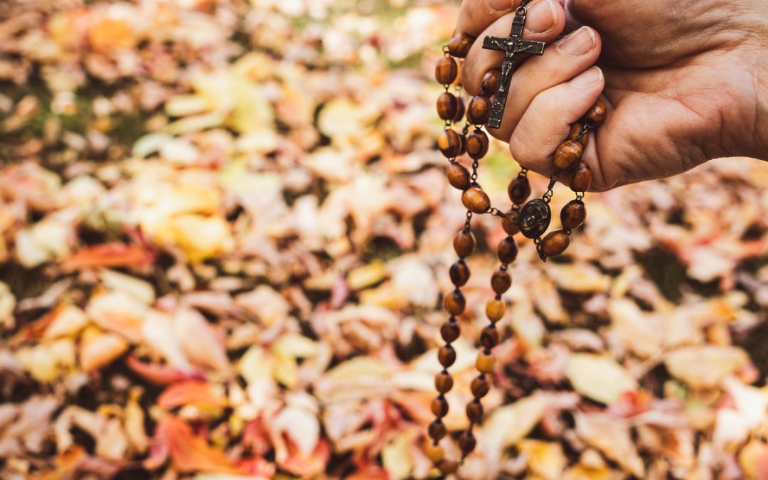 “Haverford Township Day”